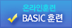 BASIC(온)